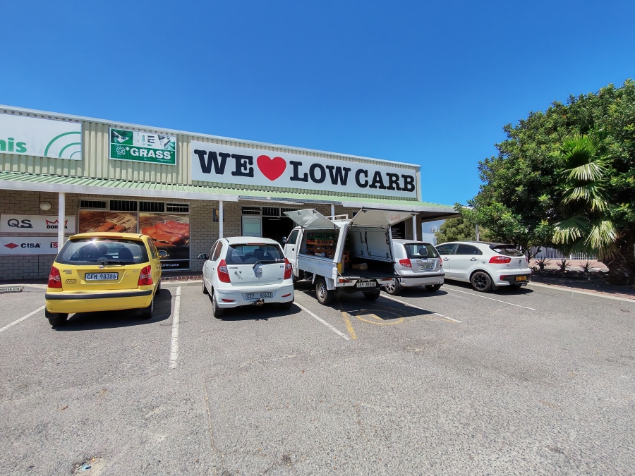 To Let commercial Property for Rent in Gants Plaza Western Cape